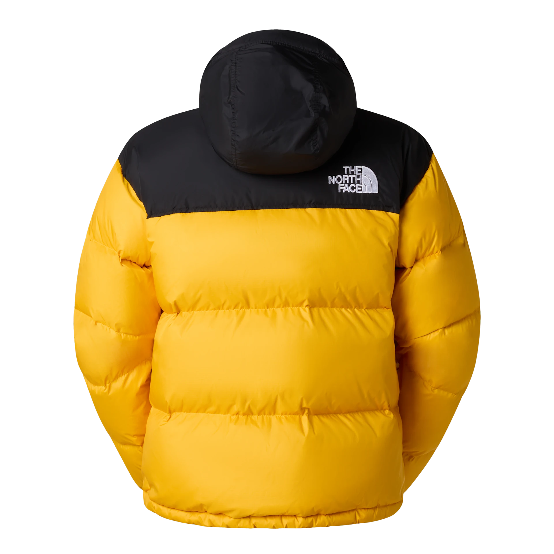 GIUBBINO Uomo THE NORTH FACE NF0A3C8DGO81