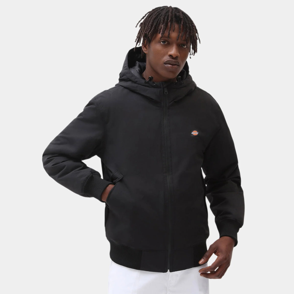 GIUBBOTTO UOMO Dickies DK0A4XG8