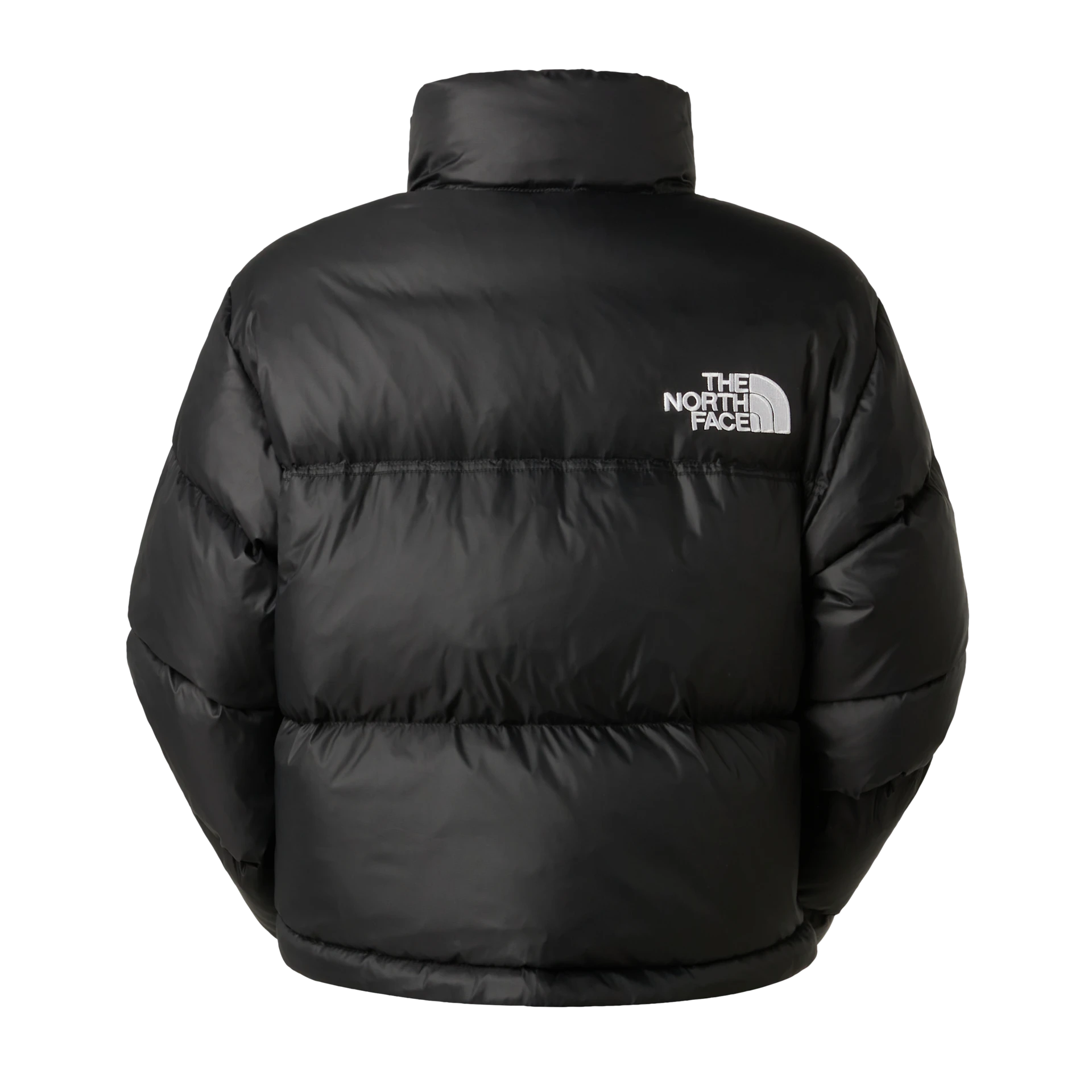 GIUBBINO Donna THE NORTH FACE NF0A5GGEGOG1