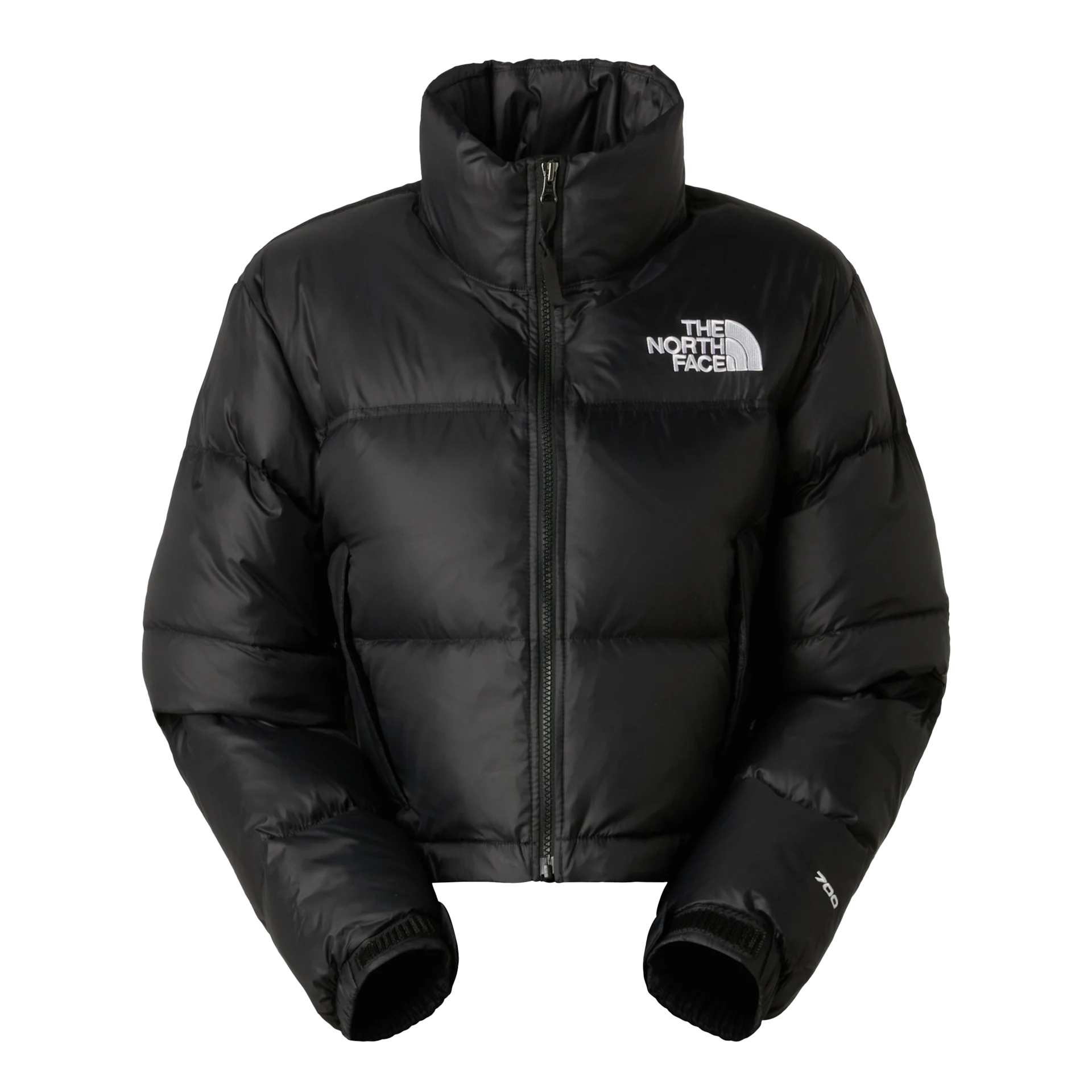 GIUBBINO Donna THE NORTH FACE NF0A5GGEGOG1