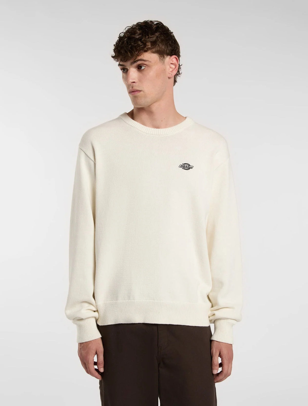MAGLIA UOMO Dickies DK0A87OP