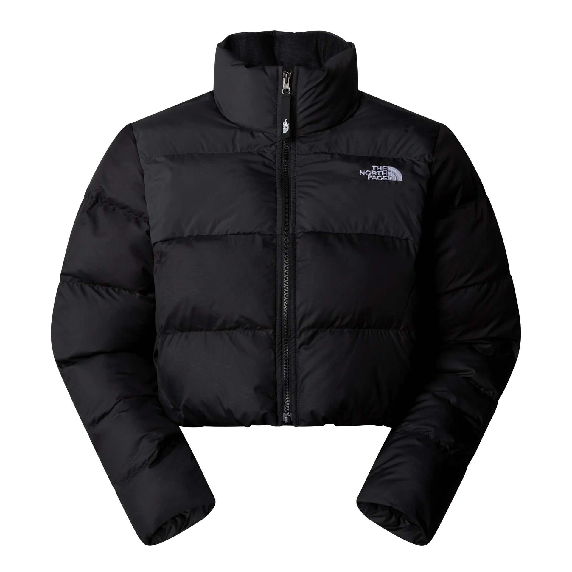 GIUBBINO Donna THE NORTH FACE NF0A89JCKT01