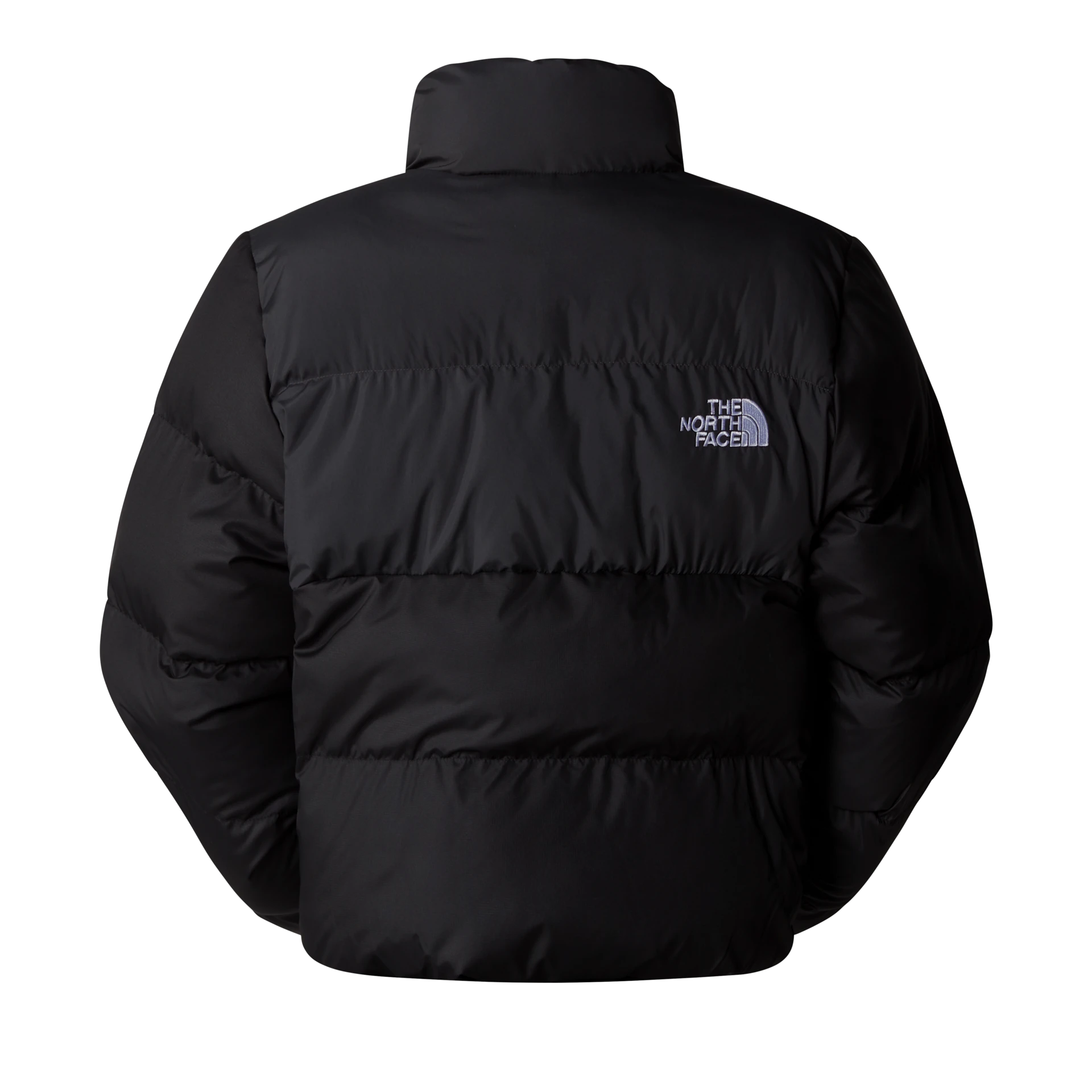 GIUBBINO Donna THE NORTH FACE NF0A89JCKT01