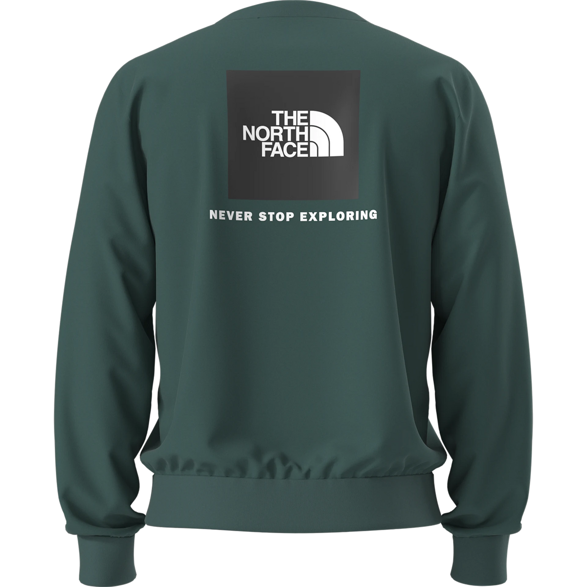 T-SHIRT Uomo THE NORTH FACE ONF0-NF0A8FD3N4J1: