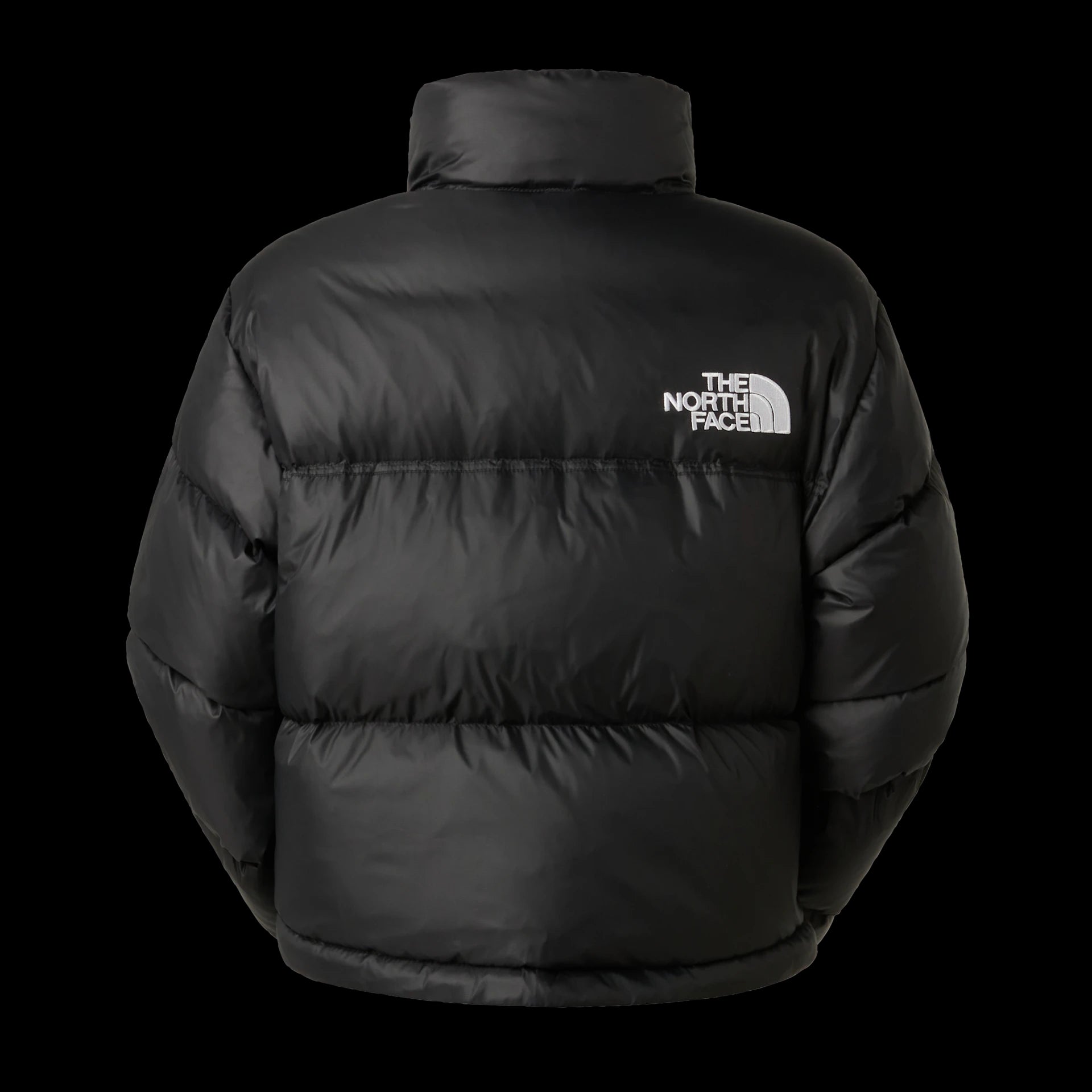 GIUBBINO Donna THE NORTH FACE NF0A5GGEGOG1