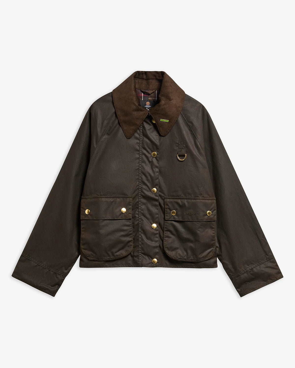 GIUBBINO Donna BARBOUR 262MLWX1595OL71