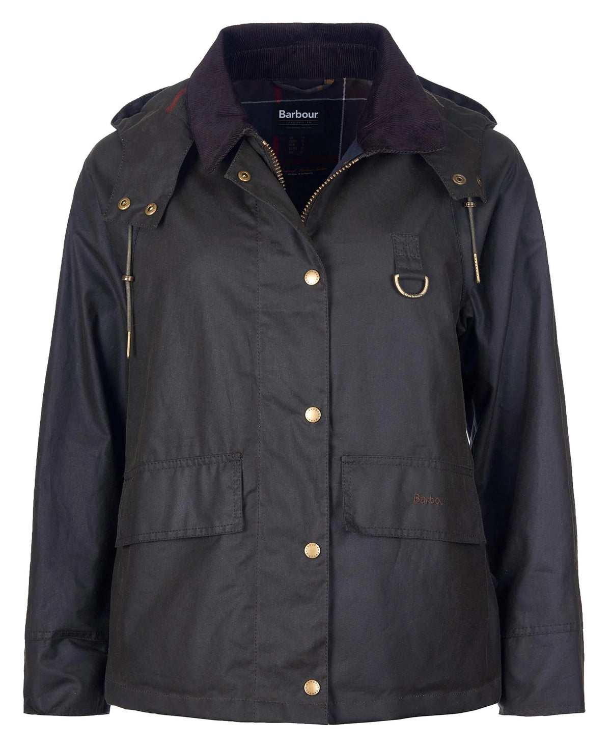 GIUBBINO Donna BARBOUR 262MLWX1081OL71