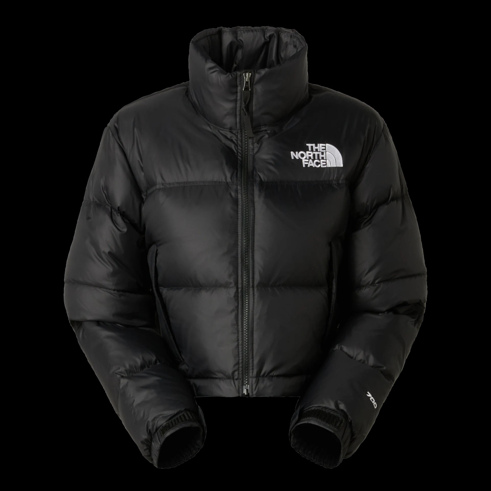 GIUBBINO Donna THE NORTH FACE NF0A5GGEGOG1