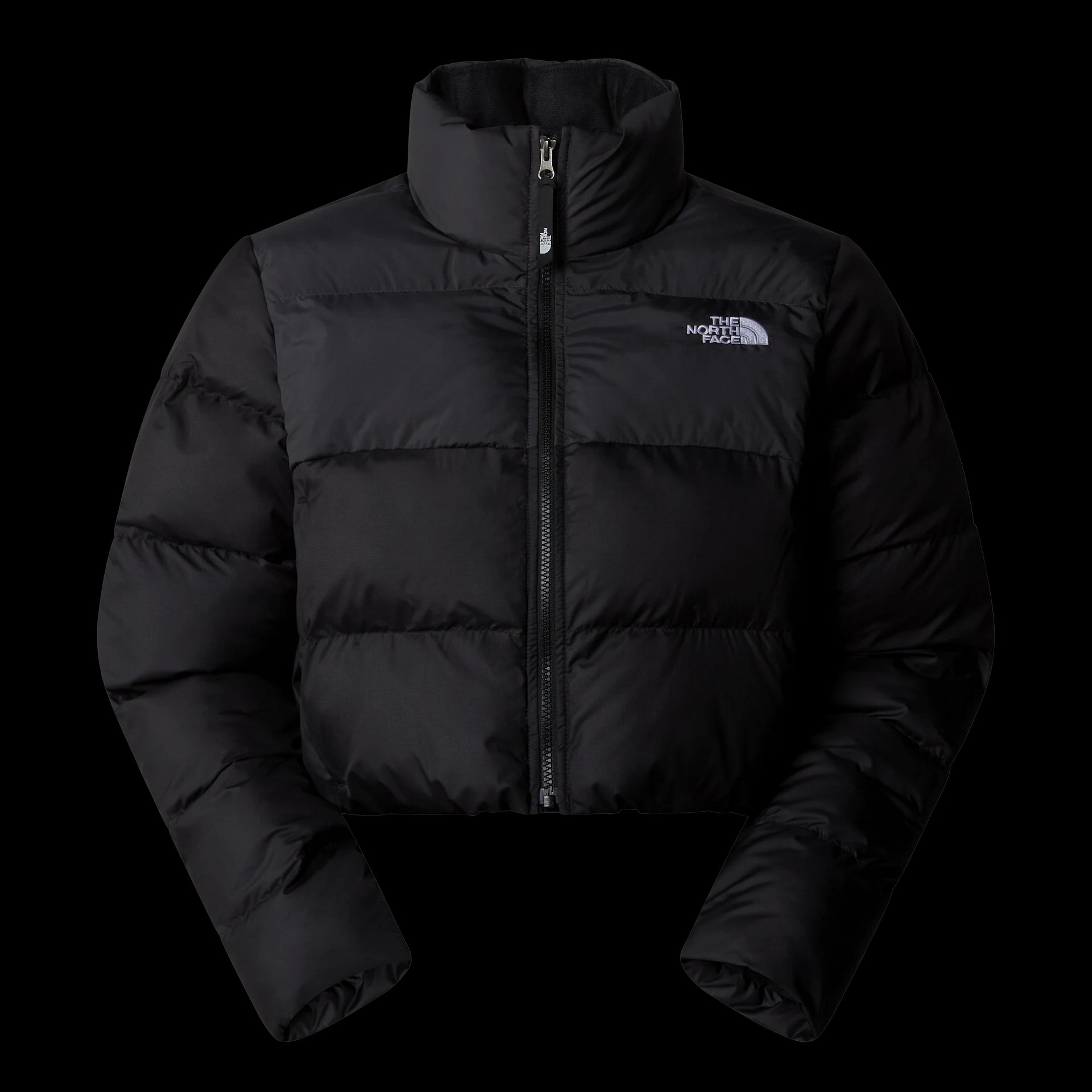 GIUBBINO Donna THE NORTH FACE NF0A89JCKT01