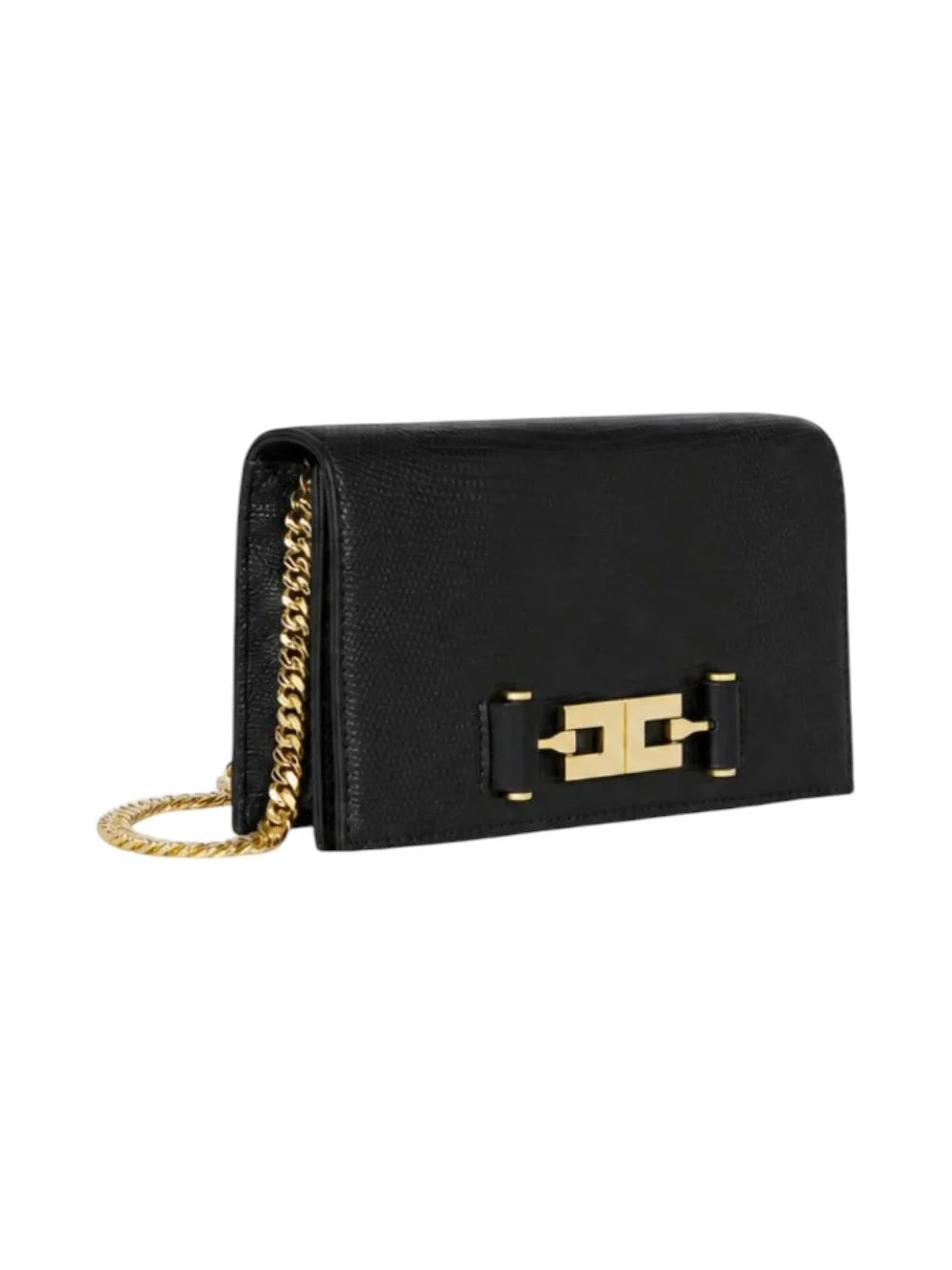 BORSA DONNA ELISABETTA FRANCHI BS08A66E2110