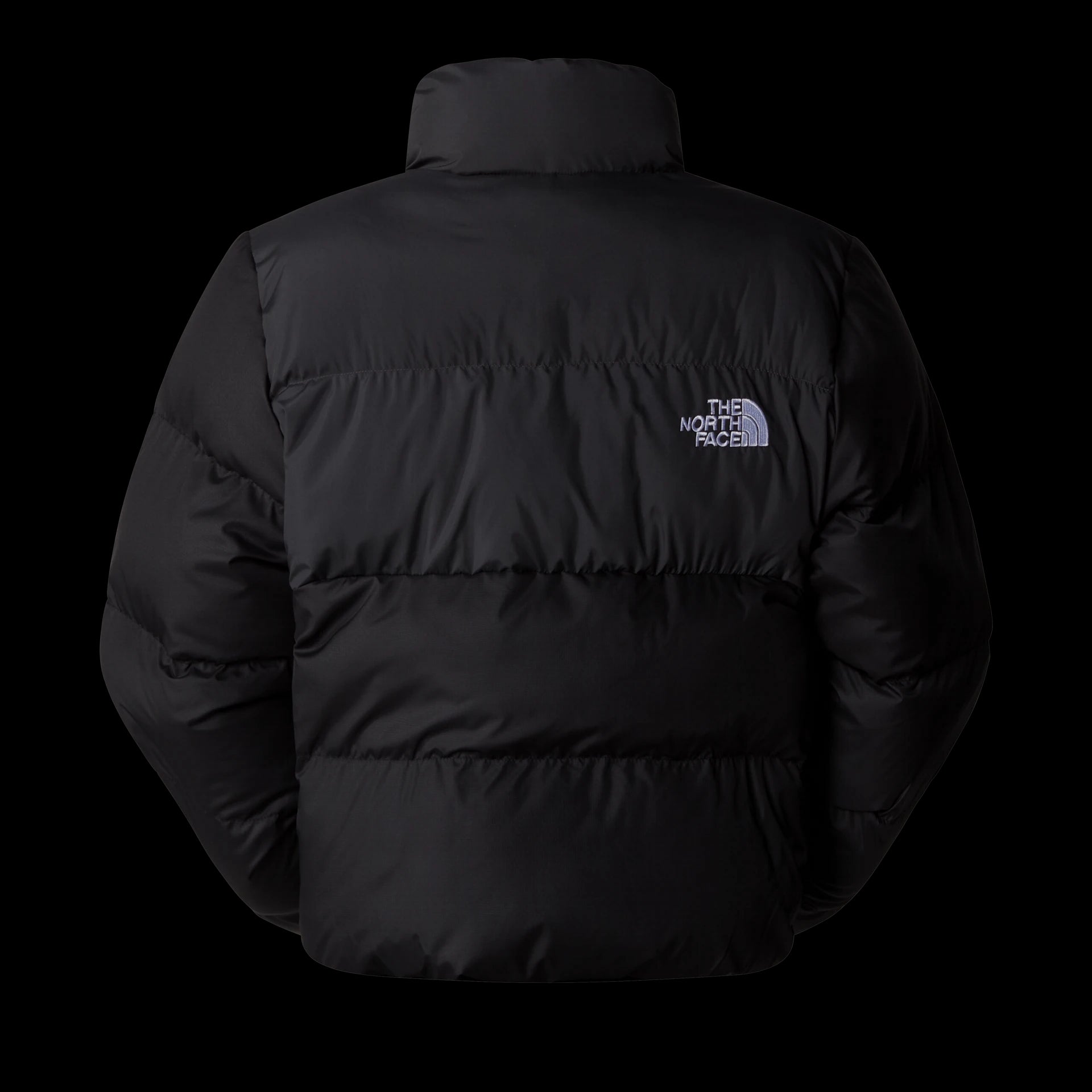 GIUBBINO Donna THE NORTH FACE NF0A89JCKT01